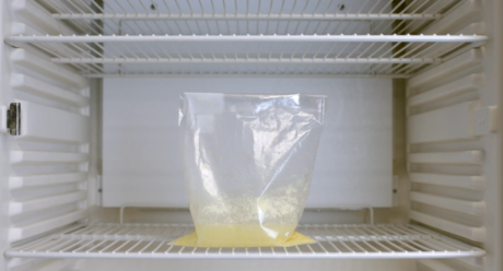 sample in incubator